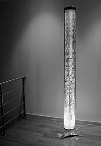 click for color enlargement