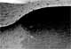 tooth