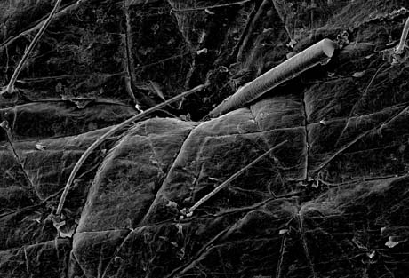 n16_eye12